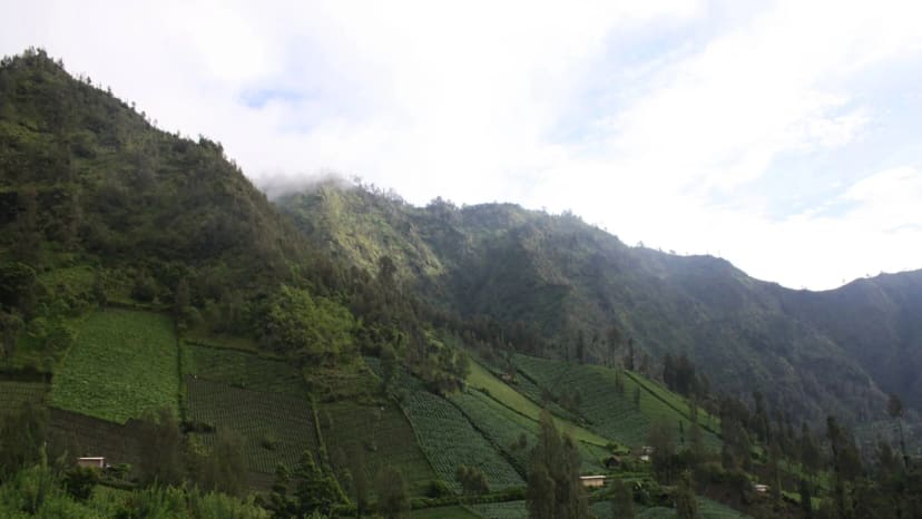 Kelyje į Bromo ugnikalnio apžvalgos aikštelę