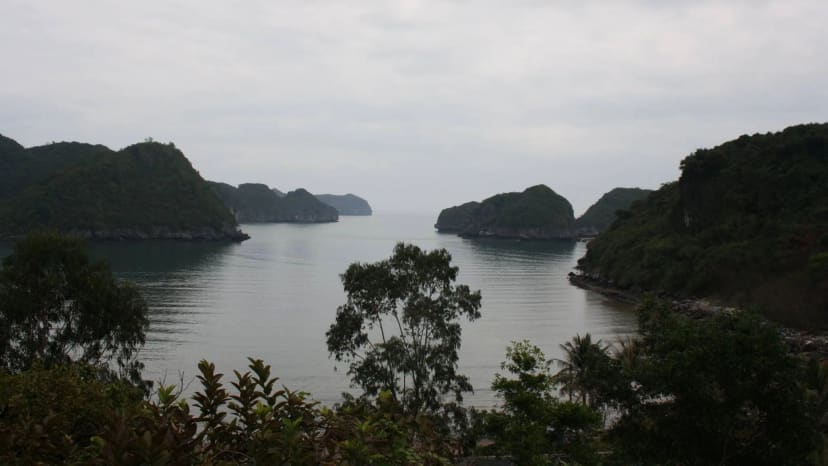 Halongo įlanka