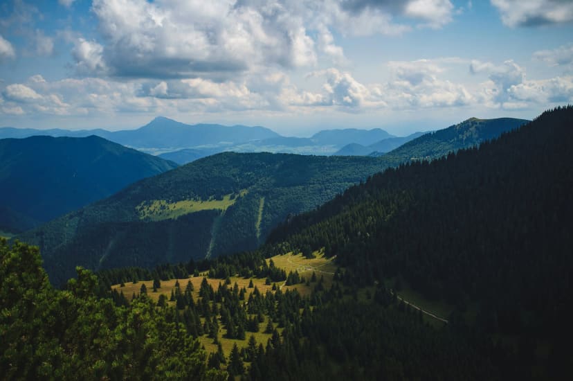 © Laurynas Mereckas, Unsplash.com