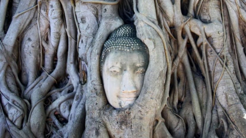 Garsioji Wat Maha That Budos galva